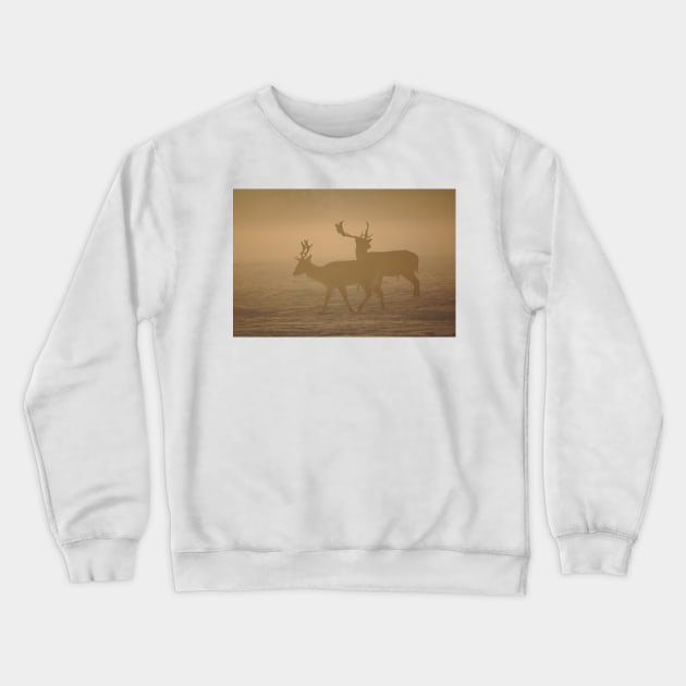 Fallow Deer Crewneck Sweatshirt by declancarr